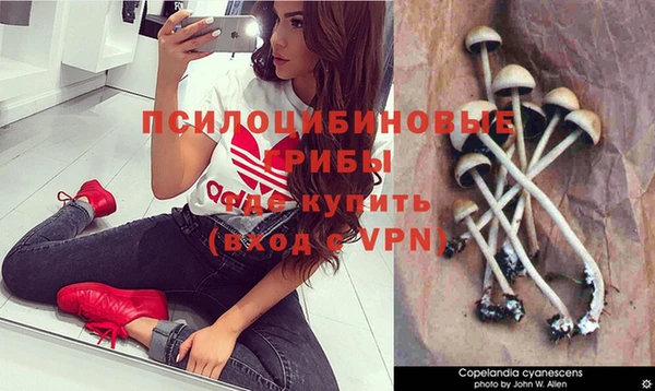 ешки Вязьма