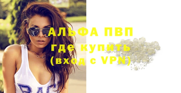 шишки Покачи