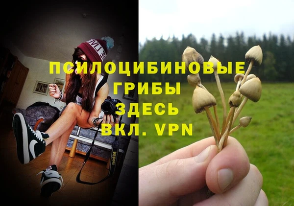 PSILOCYBIN Волоколамск