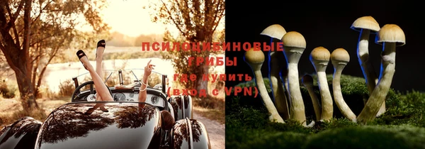 соль ск Володарск