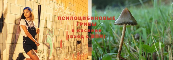 меф Вяземский