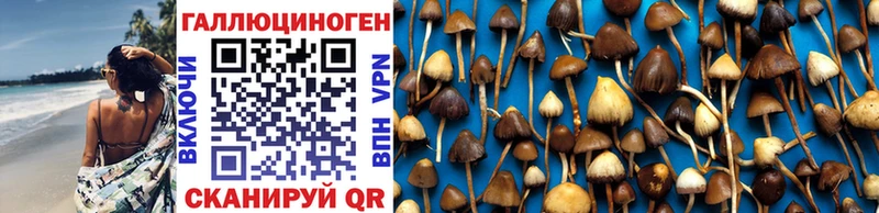 Галлюциногенные грибы Magic Shrooms  Зеленодольск 